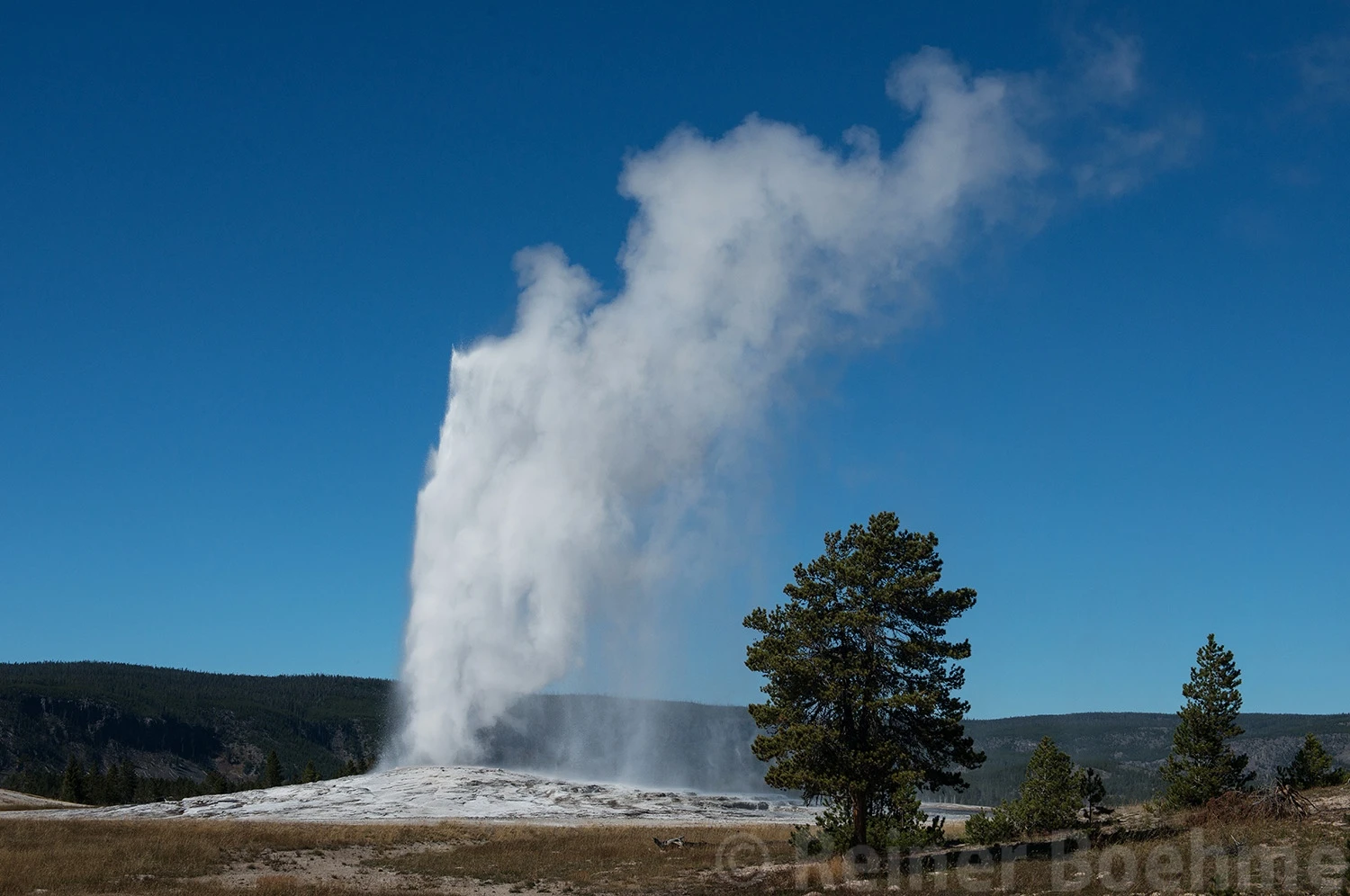 Good old faithful, Yellowstone NP – photo by Reiner Boehme
