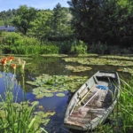 Monet’s garden 2