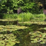 Monet’s garden