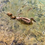 Plitvice lakes 9