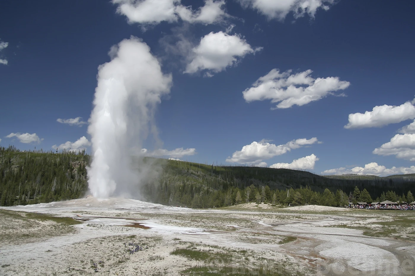 Good old faithful, Yellowstone NP – photo by Reiner Boehme