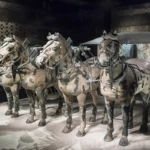 The emperors horses