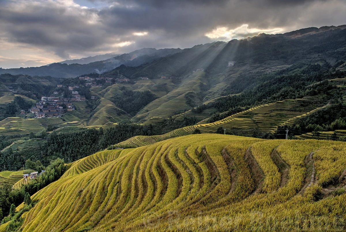 Sunset at Ping’an, Longji rice terraces – photo by Reiner Boehme