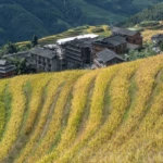 View of Ping’an village