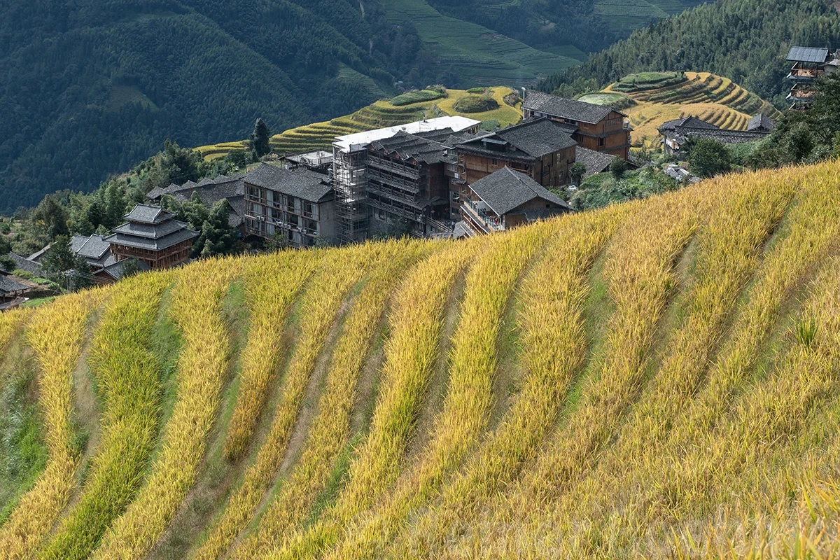 View of Ping’an village, Longji rice terraces – photo by Reiner Boehme