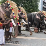 Shiva Temple festival