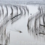 Shajiang S bay