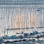 Shajiang bay