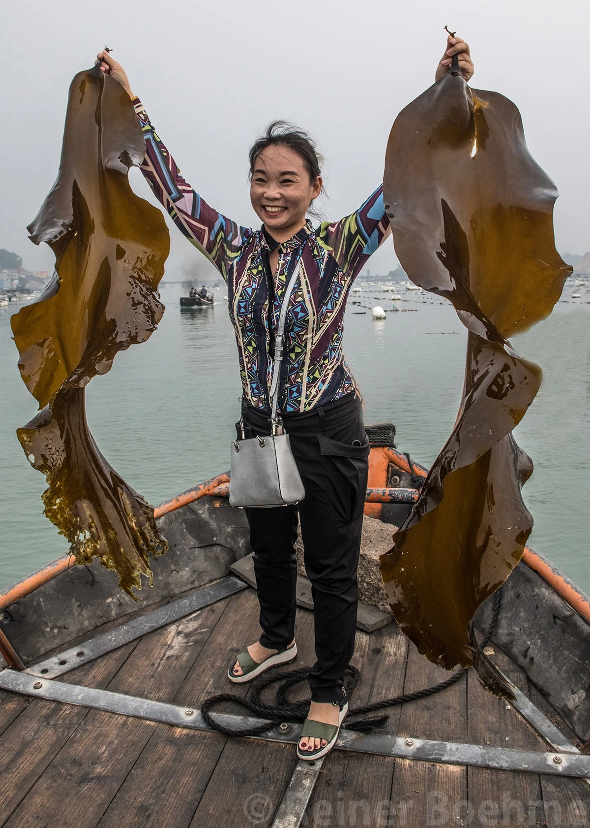 Kelp, Xiapu – photo by Reiner Boehme