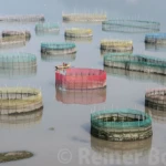 Nanwan round nets
