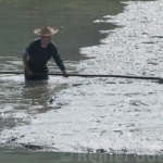 Leveling silt for aquaculture