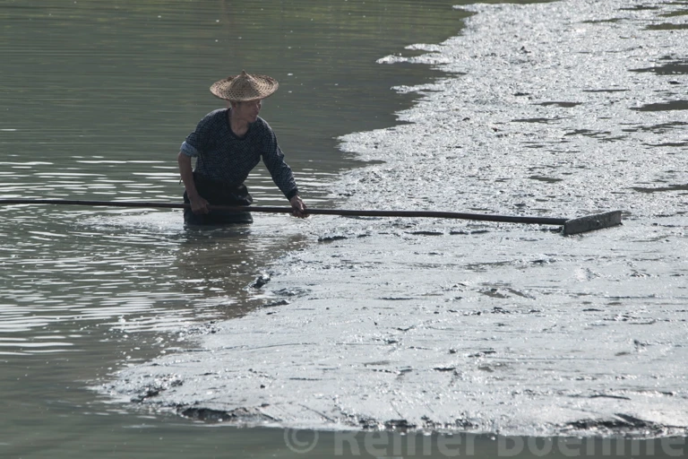 Leveling silt for aquaculture