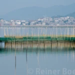 Aquaculture