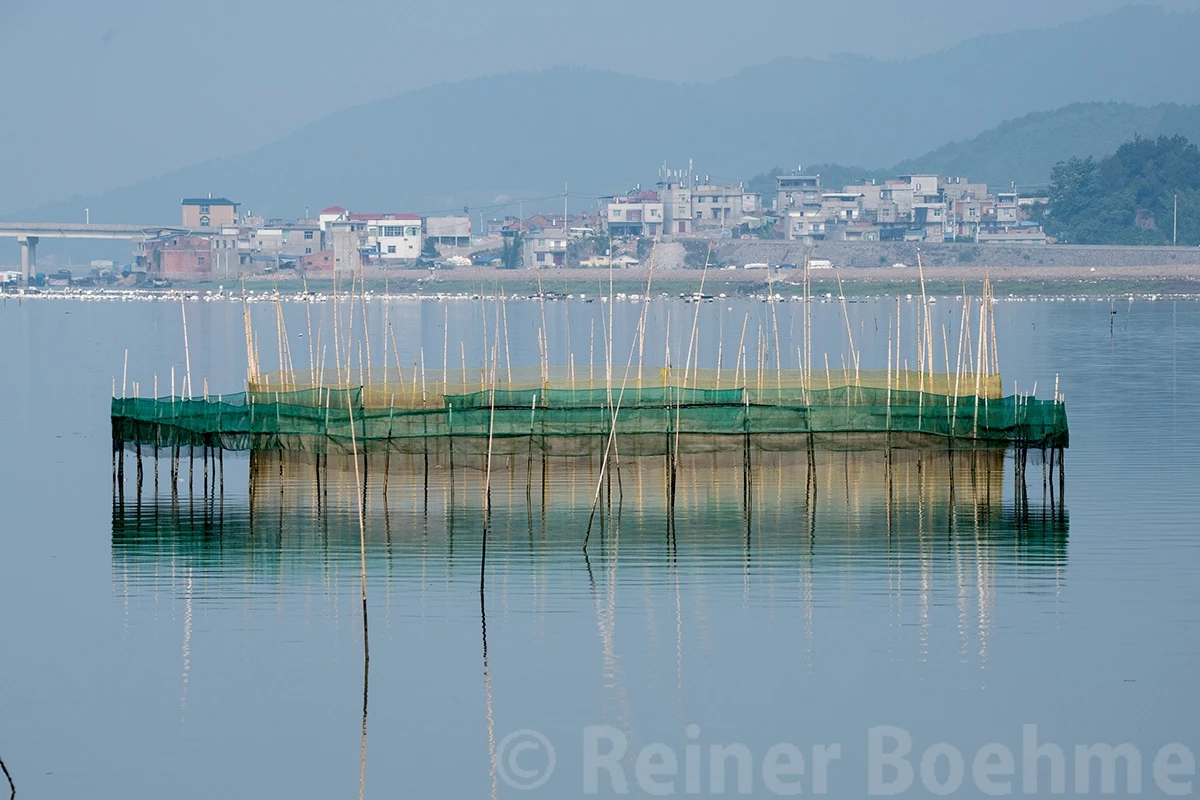 Aquaculture, Xiapu – photo by Reiner Boehme