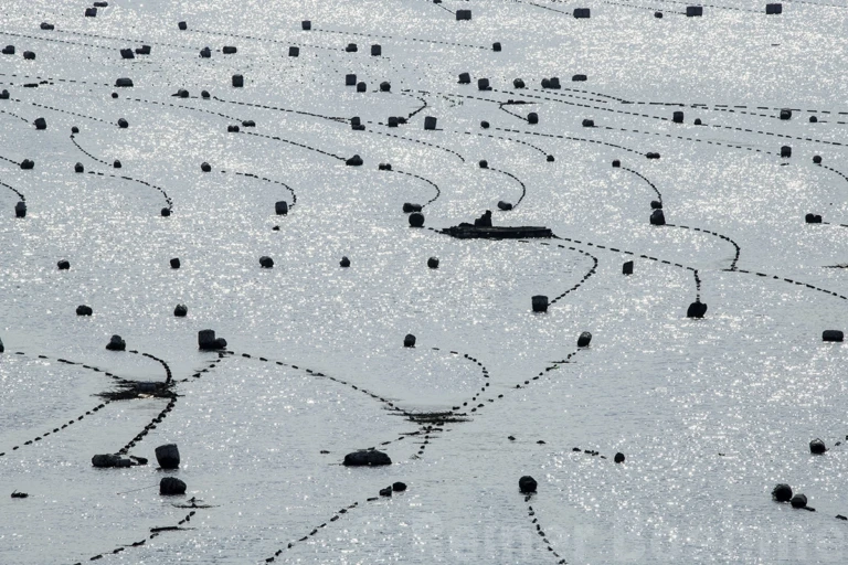 Village on water I