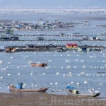 Village on water II