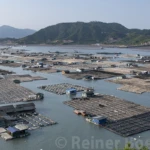 DongAn village on water