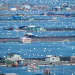 Village on water
