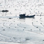 Village on water III