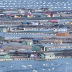 The village on water panorama