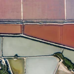 Salt reclamation plant