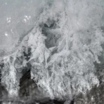 Iceflower