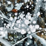 Frozen methane bubbles II