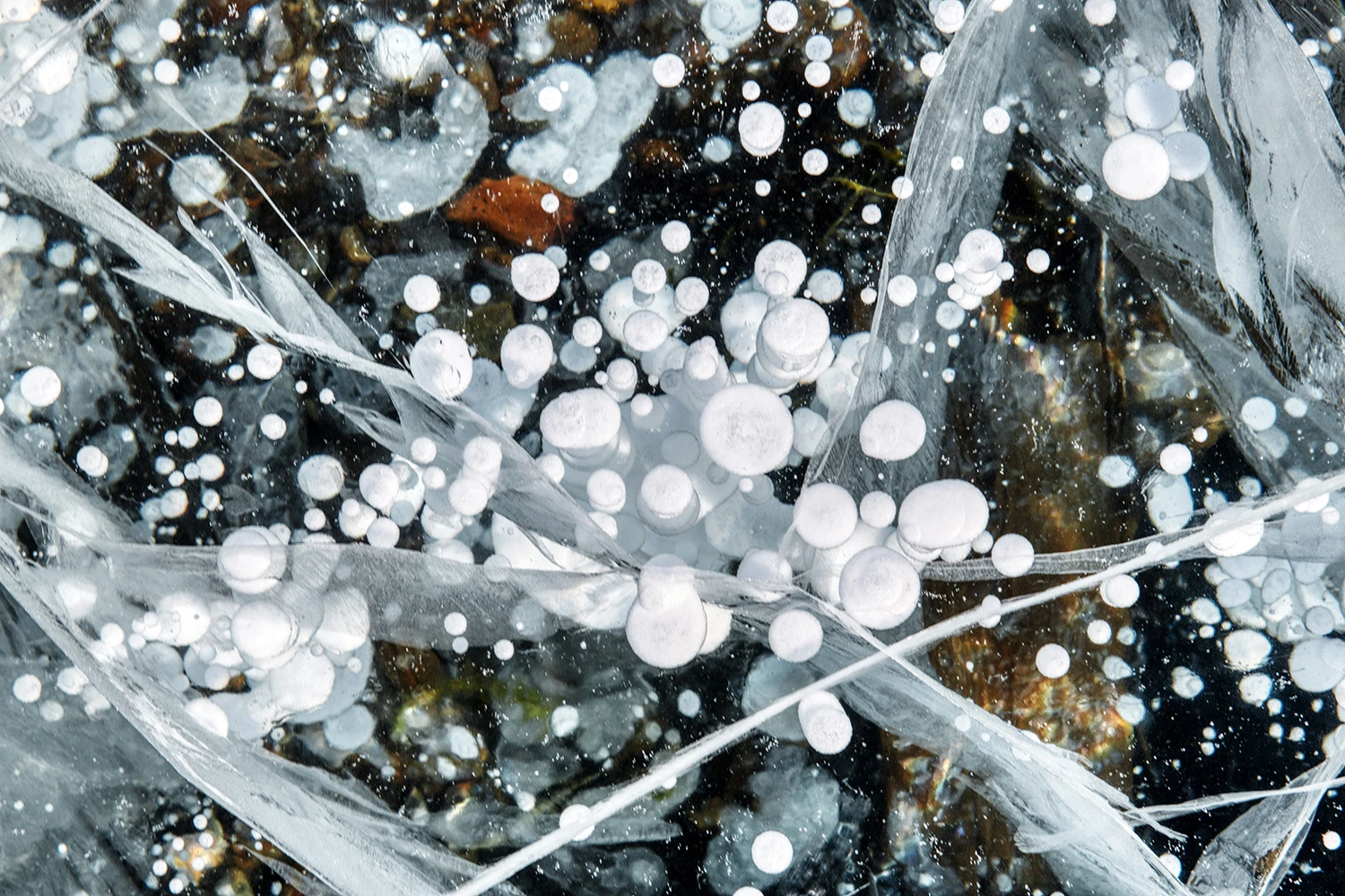 Frozen methane bubbles II, Lake Baikal – photo by Reiner Boehme