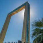 The Frame