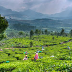 Beautiful hill area