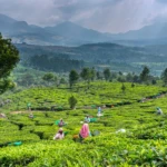 Beautiful hill area