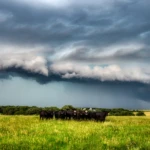 Supercell I