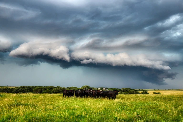 Supercell I