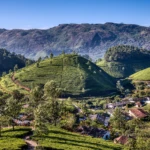 Tea worker’s village