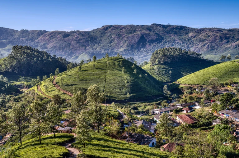 Tea worker’s village