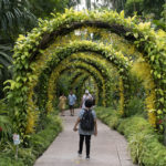 Botanic garden
