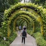 Botanic garden