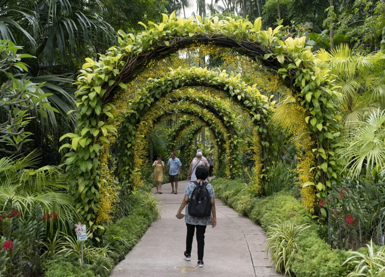 Botanic garden