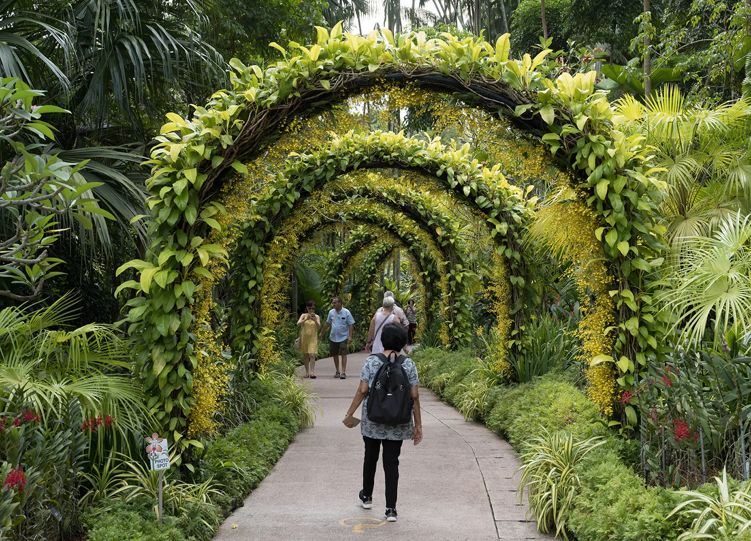 Botanic garden, Singapore – photo by Reiner Boehme