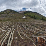 Avalanches around Aspen area