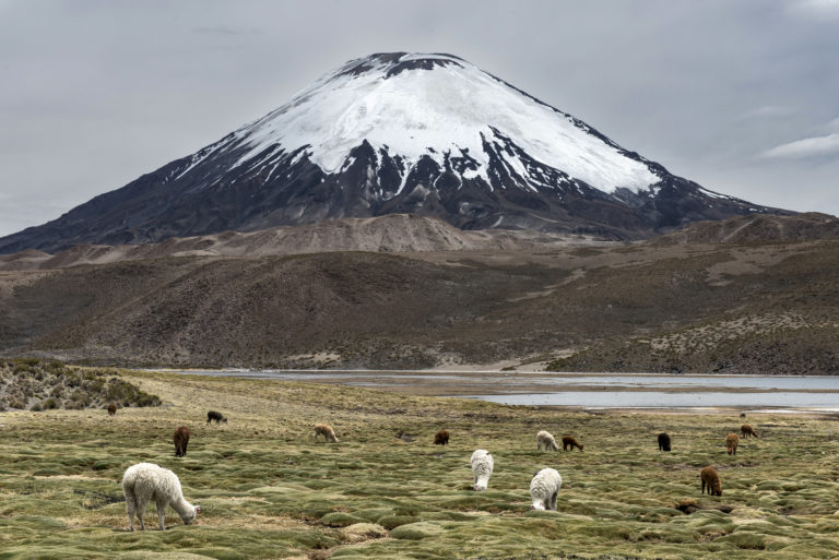 South America