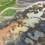 Seashore