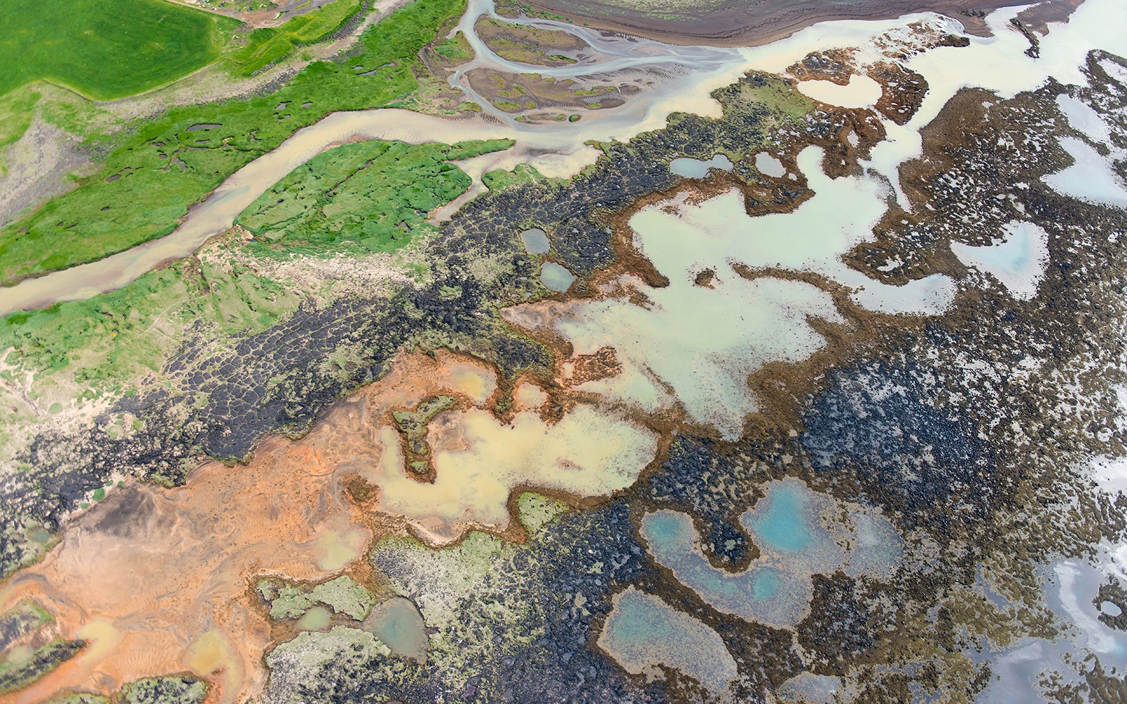 Seashore, Iceland – photo by Reiner Boehme