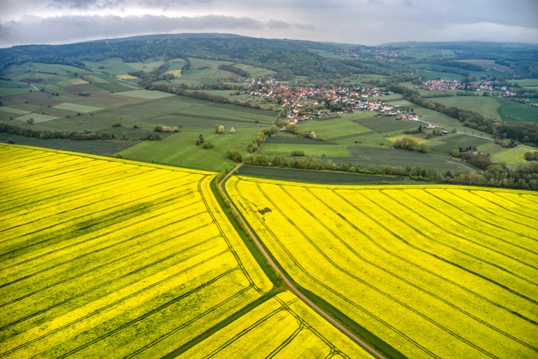 Drone photos