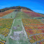 Ahr valley