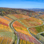 Ahr valley