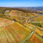 Ahr valley