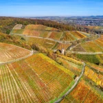 Ahr valley