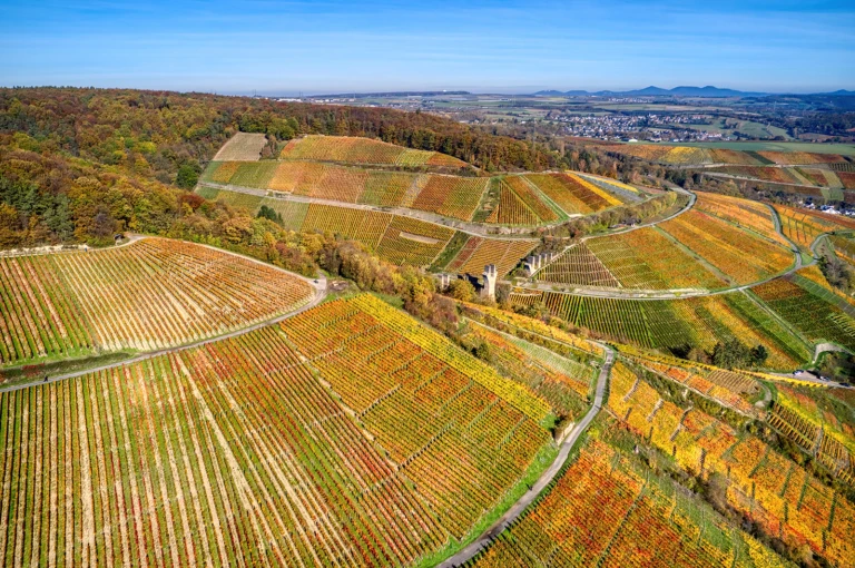 Ahr valley