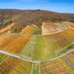Ahr valley